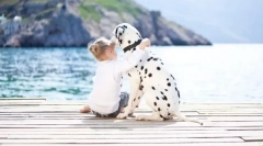 Kako uvjeriti roditelje da kupuju psa: tajne uspjeha